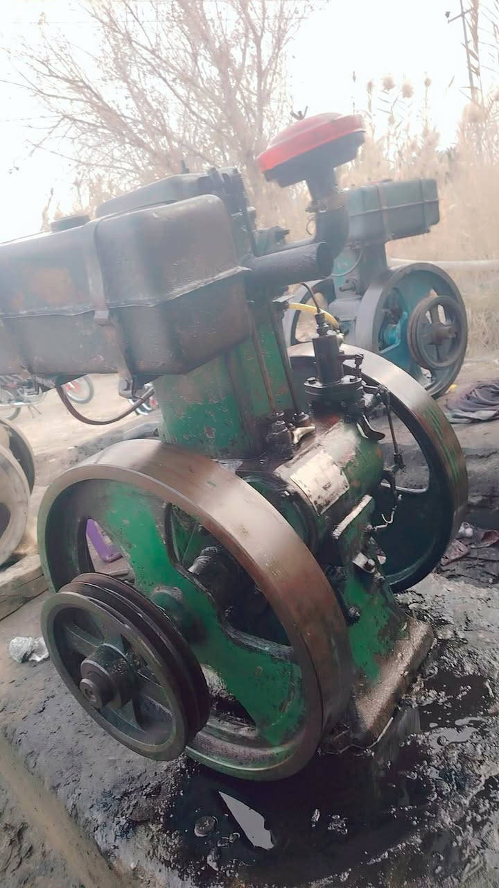 ابو ثمانيه حصان فريد مارشل خنزيره
مارشال وراس توليد
السعر خاص 
الحمزه الغربي الخميسيه
للاتصال ***********
***********
