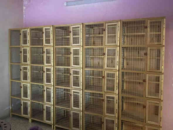 سلام عليكم خانات للبيع ام الخمسة قياس المربع عرض ٦٠ نزال ٤٠ ارتفاع ٤٠ خشب روسي درجة أولى سيم اربيسي العدد ٥٠ مربع يعني ١٠ قطع سعر الوحدة 75 المكان بغداد لكريعات ليريدهن يراسلني او يتصل  ***********
