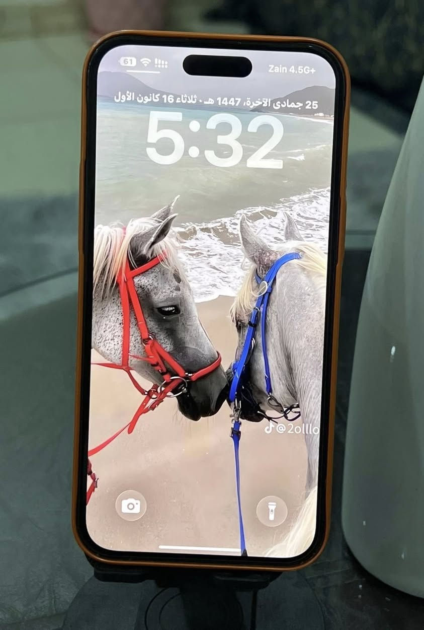 السلام عليكم عندي آيفون 14 برو ماكس لون بنفسجي اول منزل اخذته على أيدي نضافة فول آخر الجديد الجهاز ممفتوح بلادي ذاكرتة 128 وبطاريتة 80‎%‎ اريد اراوس بهونر ماجك 8 برو 
ونتراهم على سعر او أبيعه الجهاز 
مكاني بغداد الدورة 
***********
***********
