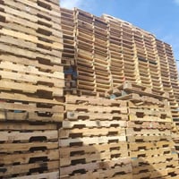 سكيب • ١٠٠×١٢٠ • العدد ٥٠٠