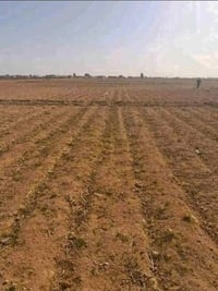 أرض زراعية للبيع • 3 فدان للبيع • أرض جنوب حلوان • أرض مسجلة • عقد أخض...
