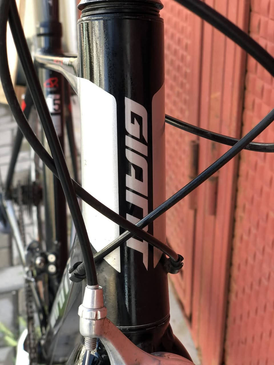 🚴‍♂️🔥 للبيع بايسكل رود احترافي 🔥🚴‍♂️
النوع / Giant 🇹🇼
Road Bike سريع وخفيف 😍
✅ البايك نضيف جدًا واستعمال مرتب
✅ سحب سريع ومريح بالطريق
✅ مناسب للمشاوير والسرعة والتمارين 🔥
📌 المواصفات:
▫️الفريم : ألمنيوم خفيف وقوي
▫️القياس : 28
▫️حجم الفريم : M
▫️الارتفاع : 51 سم
⚙️ نظام السرعات: شفتر + بريك متصل
كيرات : 2×8
🔧 القطع: ▫️مكينة خلفي : Shimano Claris
▫️مكينة أمامي : Shimano Claris
▫️بريكات : Shimano Tiagra 🔥
▫️هيدست FSA بولبرنك ناعم جدًا 😮‍💨
🛞 الويليات : Mavic Pro Carbon
صوت طرب عالي جدًا 😍🔥
🖤 استيرن كاربون
🖤 بايدر قفل
🖤 تايرات 700×25 سريعة وثبات ممتاز
🎁 ويـاه عداد سرعة + جنطة 😍🔥
📍المكان : بغداد 
💰السعر : 400 ألف وبيه مجال بسيط 👌🔥
البايك مرتب ونظيف جدًا وما يحتاج أي صرف ✨🚴‍♂️


**إذا كنت صاحب هذا الإعلان وتريد حذفه لأي سبب، رجاءا أرسل رسالة إلى الدعم الفني**