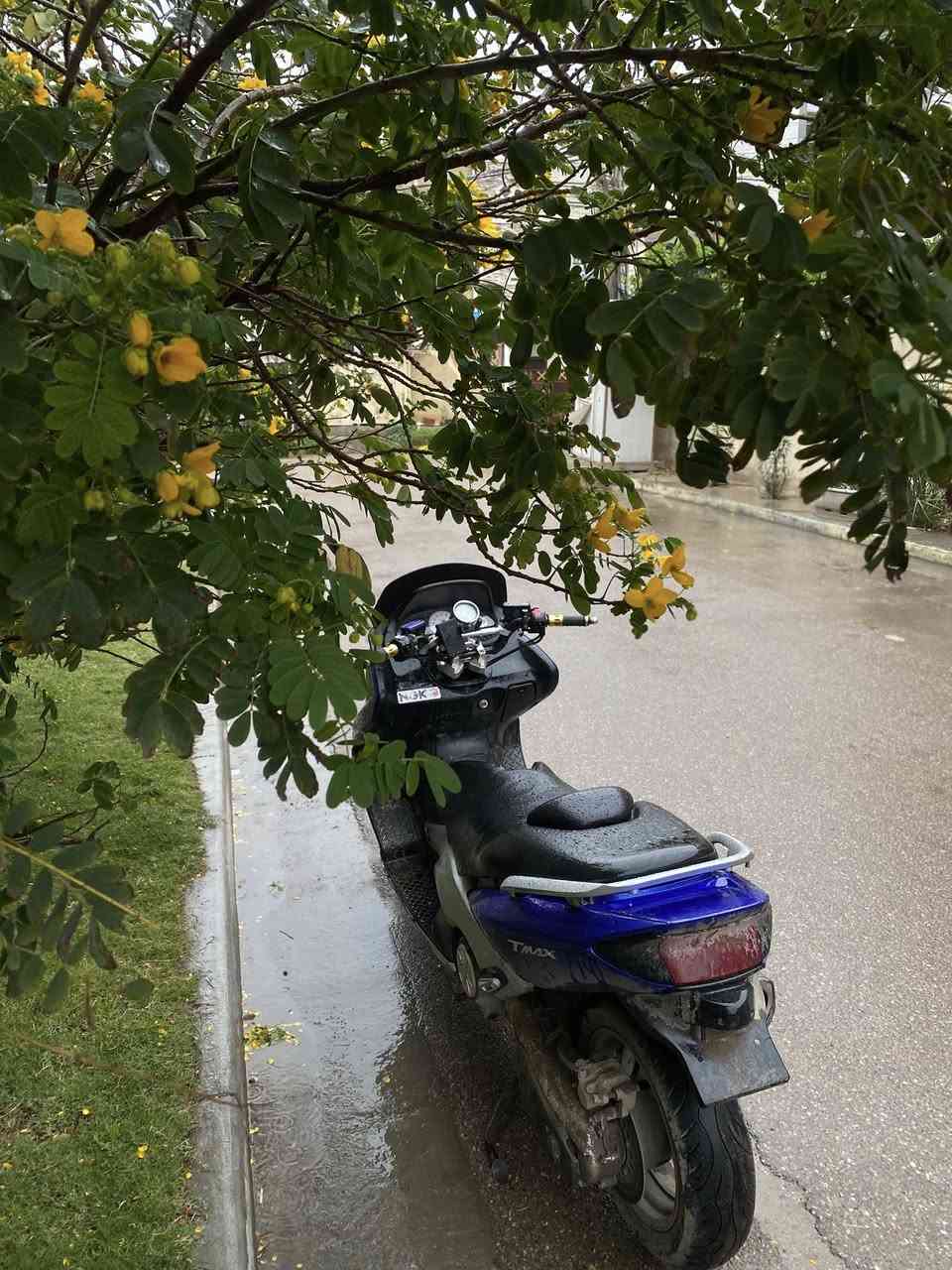 السلام عليكم تيماكس للبيع
تيماكس 2007 المكينه مفتوحة اكفلها الك حماوة وتدخين 

الدراجة عليها صرف كلش وحلوه كفراتها نضيفة 

جاملغ الامامي طاك من صفحة وحده شلته تزويدها حلو قبل اسبوع سويتلها ادامه كامله وخرز جدد الدراجة شلعتها تاكل الكاع صالصنه يورشيما والدراجة نازله من كلش وكلاشي الدراجة مفوله الله شاهد بيها دمام صوته هجم 

مكاني بغداد

رايدها بـ15وبيها مجال بسيط

***********
