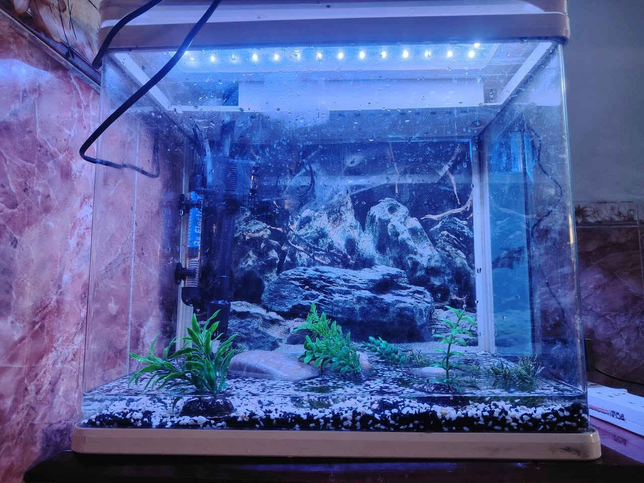 متاح حوض سمك صيني جاهز فلتر سقفي محرار مع كافة التجهيزات يحتاج فقط سمك القياس 40 سم السعر خاص


**إذا كنت صاحب هذا الإعلان وتريد حذفه لأي سبب، رجاءا أرسل رسالة إلى الدعم الفني**