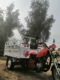 ستوته • موديل ٢٠٢٠ • دلي عباس