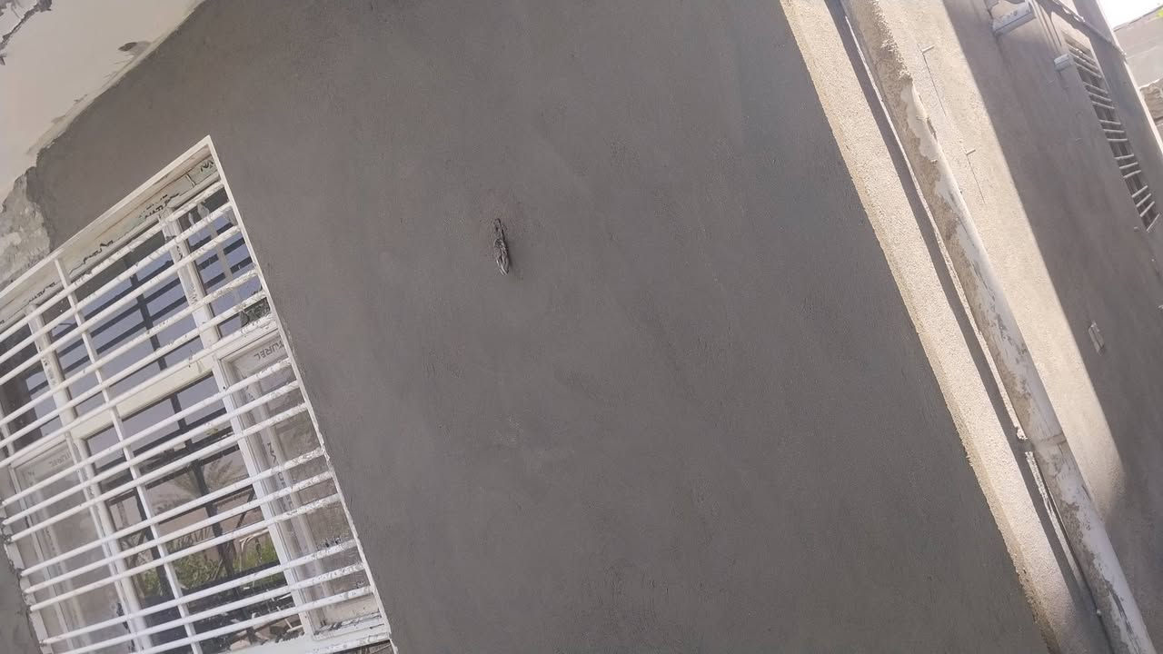 السلام عليكم ورحمه الله وبركاته
كادر لبخ  مصري شغل درجه اولى تسليم هندسي 
لبخ مساطر لبخ جراراه لبخ  ثقل نامع وتشميع وطلس وفوم تركي 
 تشطيب كافه الوجهات

تركيب كوبلمات مع الصبغ كادرنا يعمل باستمرار علي مدار الشغلانه حتي الانتهاء منها  
ومن فى كادر سبراميك مصري درجه اولى تسليم هندسي 
للتواصل  واتس أو فون
***********
مكاني الدوره البوعيثه
