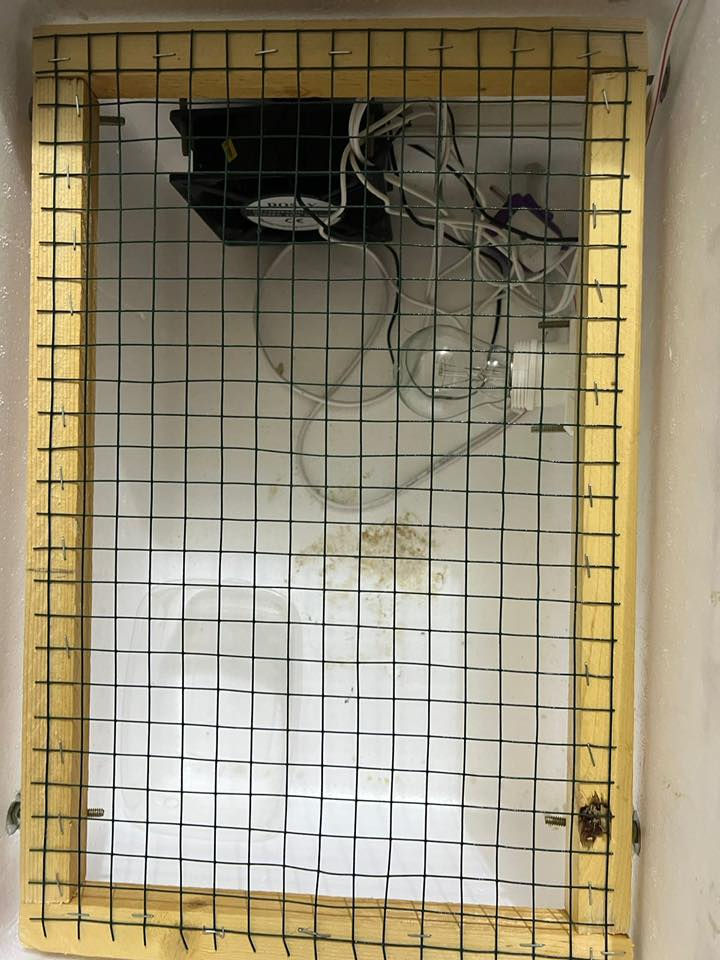 السلام عليكم 
فقاسه للبيع تاخذ 60بيضة 
الفقاسة كامله هيه وملحقاته 
شراي يتصل ***********
