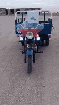 ستوته دايون • موديل ١٧ • اوراق اصولي