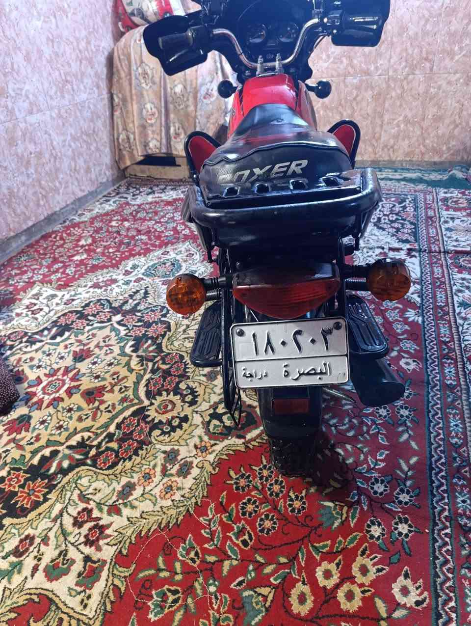 سلام عليكم شباب بوكسر جبلي لبيع مديل 22 نضافه فول وصراحه صور ضالمته تجي شوف احلى دراجه مجفته مره وحده تجفيت شركه الله شاهد وعليه نهضه تخبل+ سلف مالته صار كطع بليده وما سويته+ كهربائيته من فوك ليجوه شغاله السعر مليون 900 وبيه مجال لشراي+ مداور وره العيد تفق ويا راعيه يا يوم وداور \ عنوان البصره 5 ميل /رقم وتساب ***********
