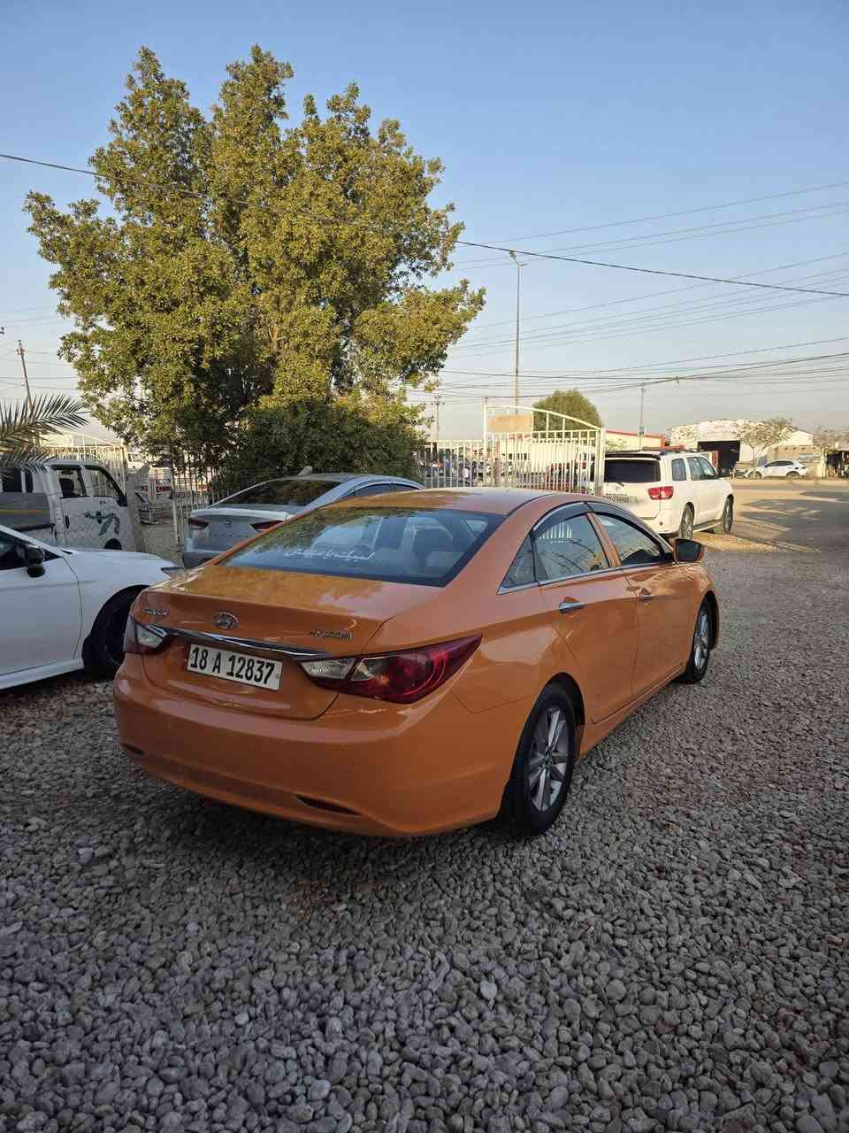 السلام عليكم سوناته ١١  خليجي اصفر من شركه سياره رقم بابل جديد مكان بابل سعر ٨٩    ***********
