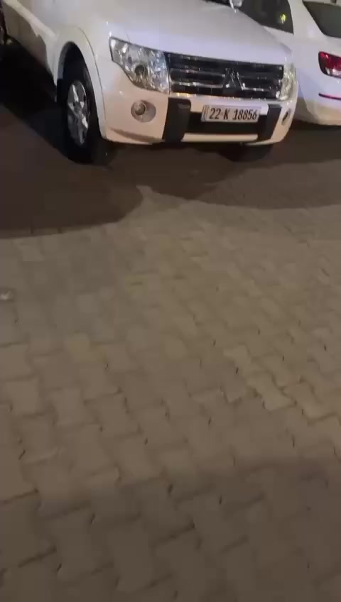 باجيرو ٢٠١٠ للبيع السياره نظيفه ومرتبه ماتورها ٣٠٠٠ السعر ١٤٠$ وبيها مجال بسيط *********** مكان السياره بغداد
