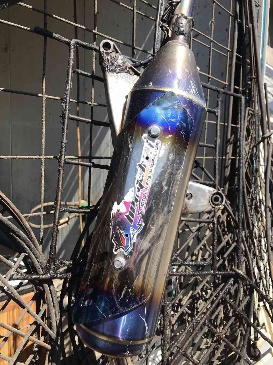 هاوزن كرزي جبلي
صالنصه قطعتين ام الوزه جبلي
مكاني غزاليه بغداد 
***********
