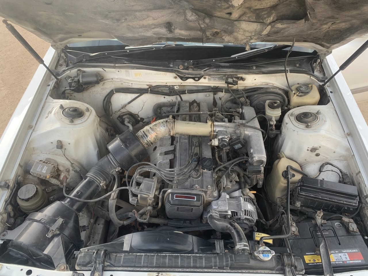 سلام عليكم مارك تكم كربلائي للبيع العنوان بصره ابو الخصيب الاستفسار ع الرقم ***********
