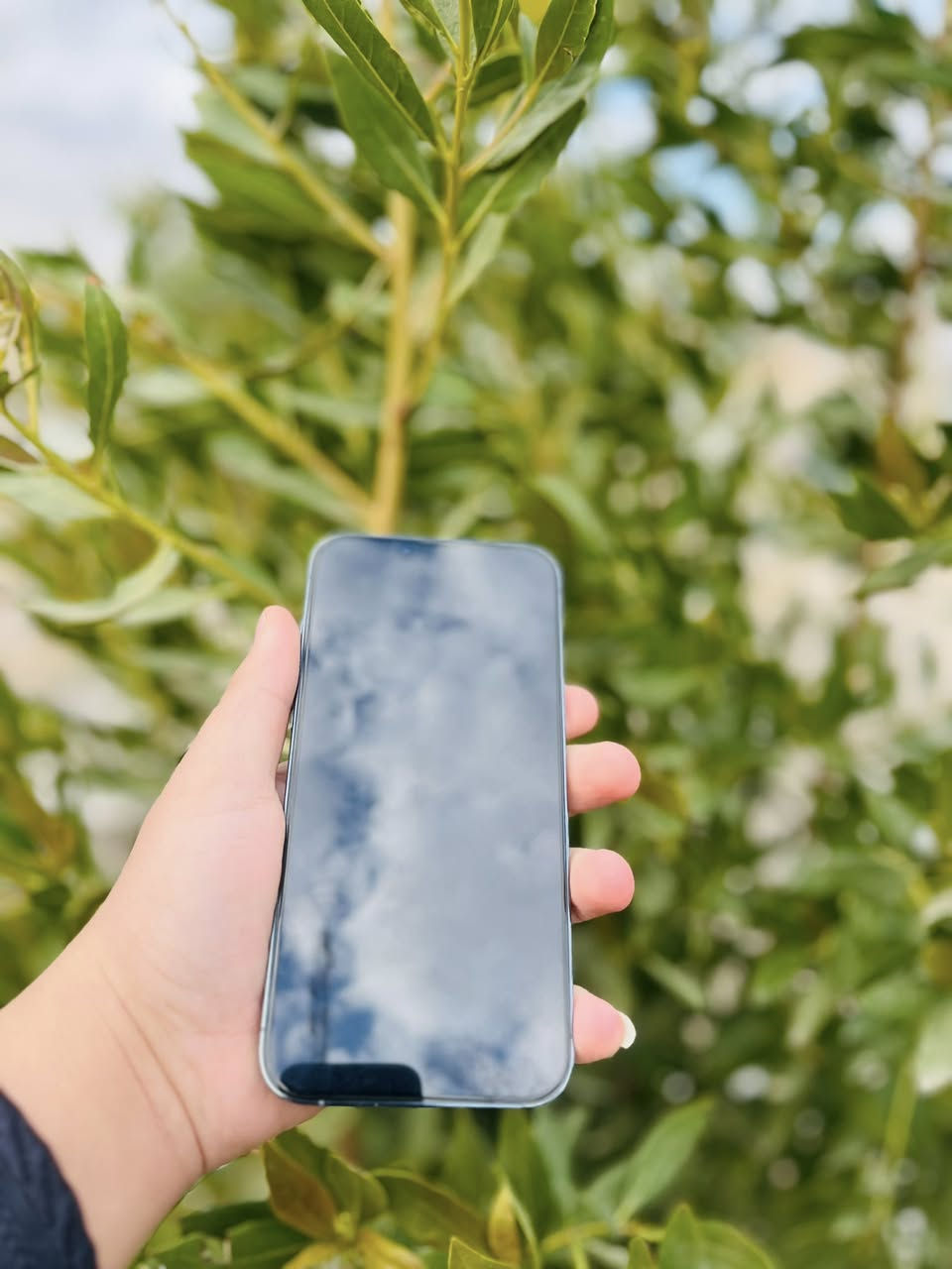 السلام عليكم
آيفون 13 برو ماكس 
ذاكره 256
بطاريه 85 
كفاله عامه شرط تفحص يالله تاخذه 
نموذج M عربي شرق اوسط 
نضافه 100/100 
لون بحري مميز 
دبل سيم كارت 
ملحقاته كارتونه وكيبل الأصليات 
للاستفسار اكثر خاص أو لاتصال علا رقم الهاتف 
                                                                      ***********
