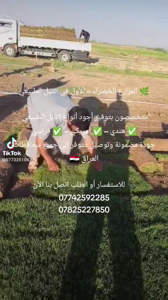 🌿 المزارع الخضراء – الأول في الثيل الطبيعي

متخصصون بتوفير أجود أنواع الثيل الطبيعي:
✅ هندي – ✅ أمريكي – ✅ فرنسي
جودة مضمونة وتوصيل متوفر إلى جميع محافظات العراق 🇮🇶

📞 للاستفسار أو الطلب اتصل بنا الآن:
***********
***********
