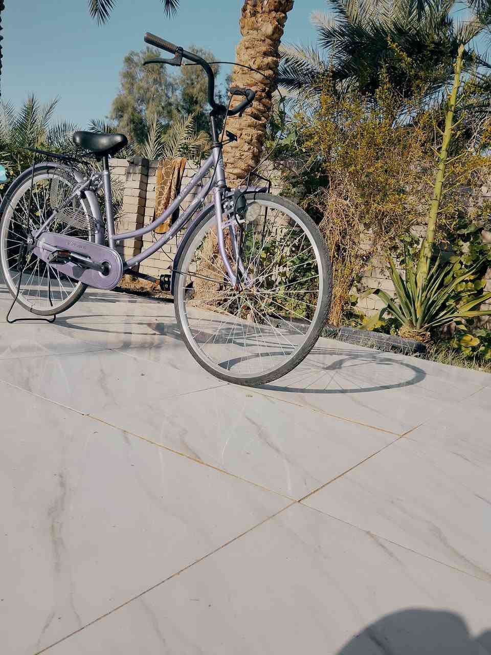 سلام عليكم ورحمة بايسكل موديل2024مختم بايسكل نضيف كلشي مابيه اخذه وتوكل بايسكل كلش نضيف بايسكل جديد توني مشتري عنواني ذي قار سوق الشيوخ الاصيبح السعر 140وقابل للتفاوض رقم الهاتف ***********
