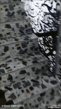 /// على بركة  الله تعالى ///
بيت زراعي للبيع 
المساحة/ ٥٠متر مربع  (٥م ×١٠م )
التفاصيل البيت/ طابقين ونص
الطابق الاول //استقبال ومطبخ وصحيات وصالة
الطابق الثاني // غرفتين نوم  وصحيات 
الطابق الثالث // غرفة نوم وصحيات وسطحين
الخدمات كاملة/ تبليط. ومجاري وماء  كهرباء
العنوان /الزعفرانية. نهاية الاربع شوارع. شارع مخبز جنات الغدير  زراعي ابو ريسان
السعر// ٨٥مليون قابل للتفاوض
للاستفسار مراسلتنا على الماسنجر الخاص
للاستفسار مراجعة مكتب دلالية المصطفى للعقار الزعفرانية الاربع شوارع خلف ماركت اللؤلؤة مجاور أسواق القبس اوالاتصال او مراسلة واتس اب ***********او***********
