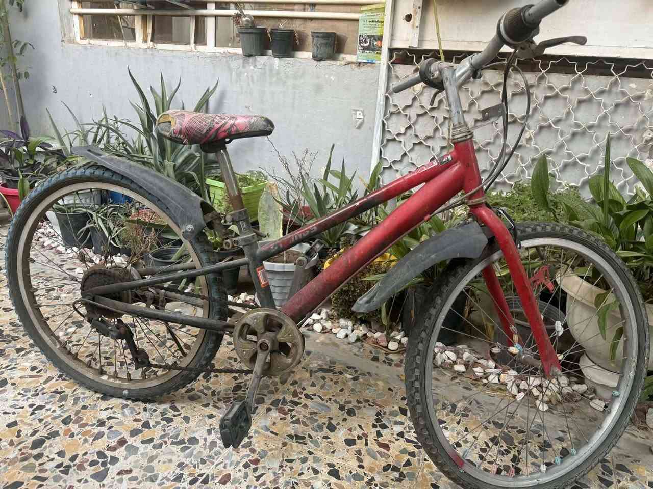 سياره ٦٠نقص فقط باتري بيسكل ٣٥ابلجكتر ٢٥جديد مكاني بغداد علي صالح


**إذا كنت صاحب هذا الإعلان وتريد حذفه لأي سبب، رجاءا أرسل رسالة إلى الدعم الفني**