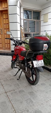 شينينغ ٢٠٢٣ • ١٥٠ سي سي • مرقمة