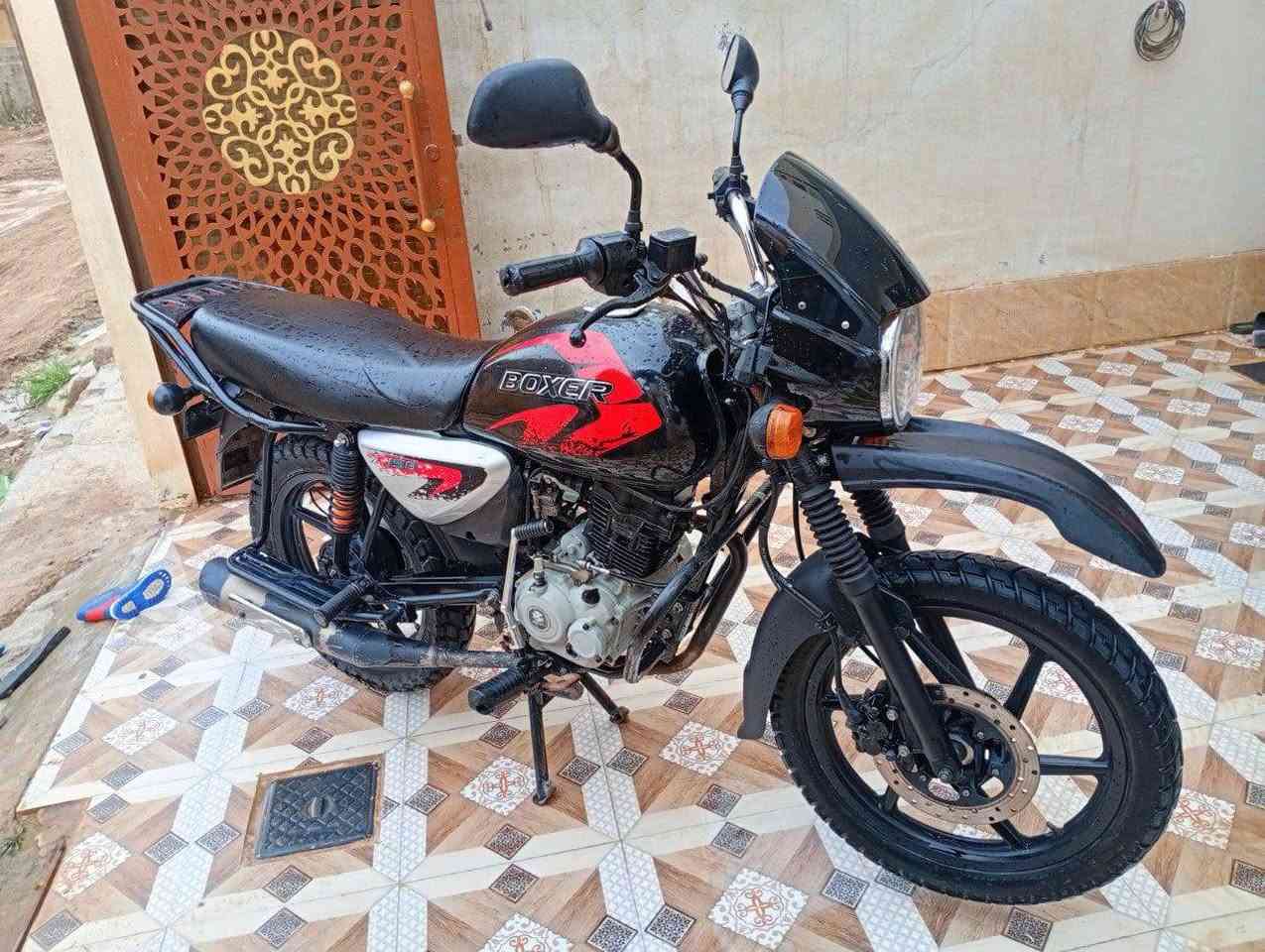 دراجة بوكسر جبلي موديل 2023 أوراق اصولية الدراجة مكفولة من كلشي. السعر مليون و600 وبي مجال مكاني ديالى بعقوبه. ***********

