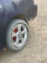 وياله تخم حجم 16 ( 2013 ) للبيع 07774717546