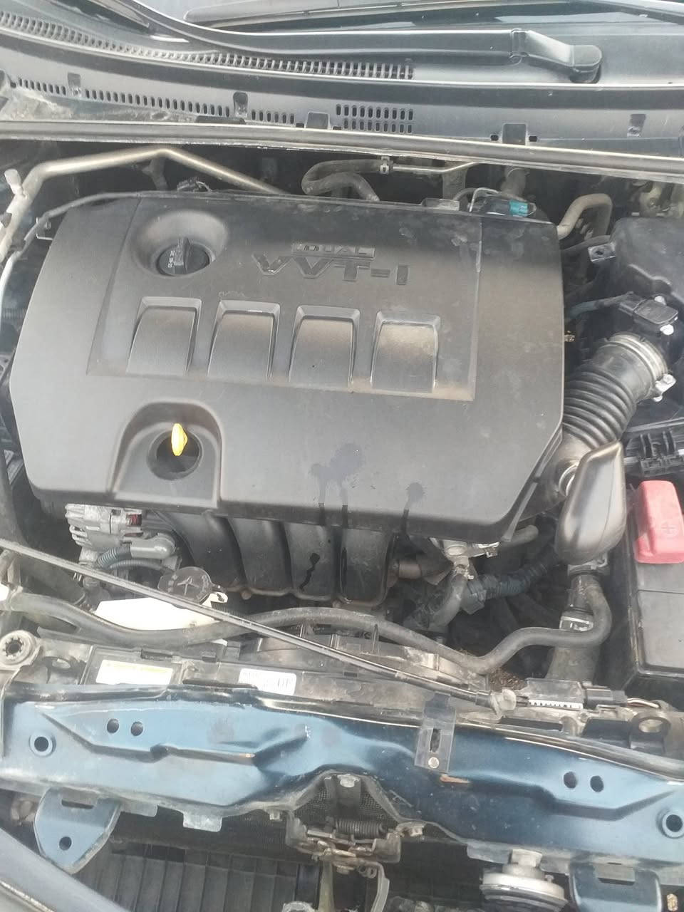 سلام عليكم كورلا ٢٠١٧ امريكي بيهة جامرلغ وبنيد أمامي بدون دواخل رادار حجر صلنصه كلة موجود السياره على وضع الشركه ماشيه ٧٠ الف ميل تخم  تاير محرك كير مامفتوح أصدر  مامفتوح على الشركه       السعر ١٣٢ بي مجال مكان السياره ديالى ***********
