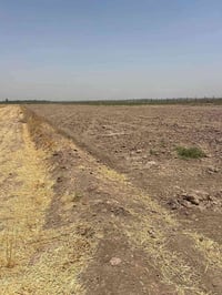 ارض زراعيه عقد قانون ٣٥ تربه جيده مي متوفر كهرباء سقي سيح اروائي صب ال...