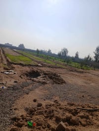 بصيط • ٢١٢٥م • طابو ملك