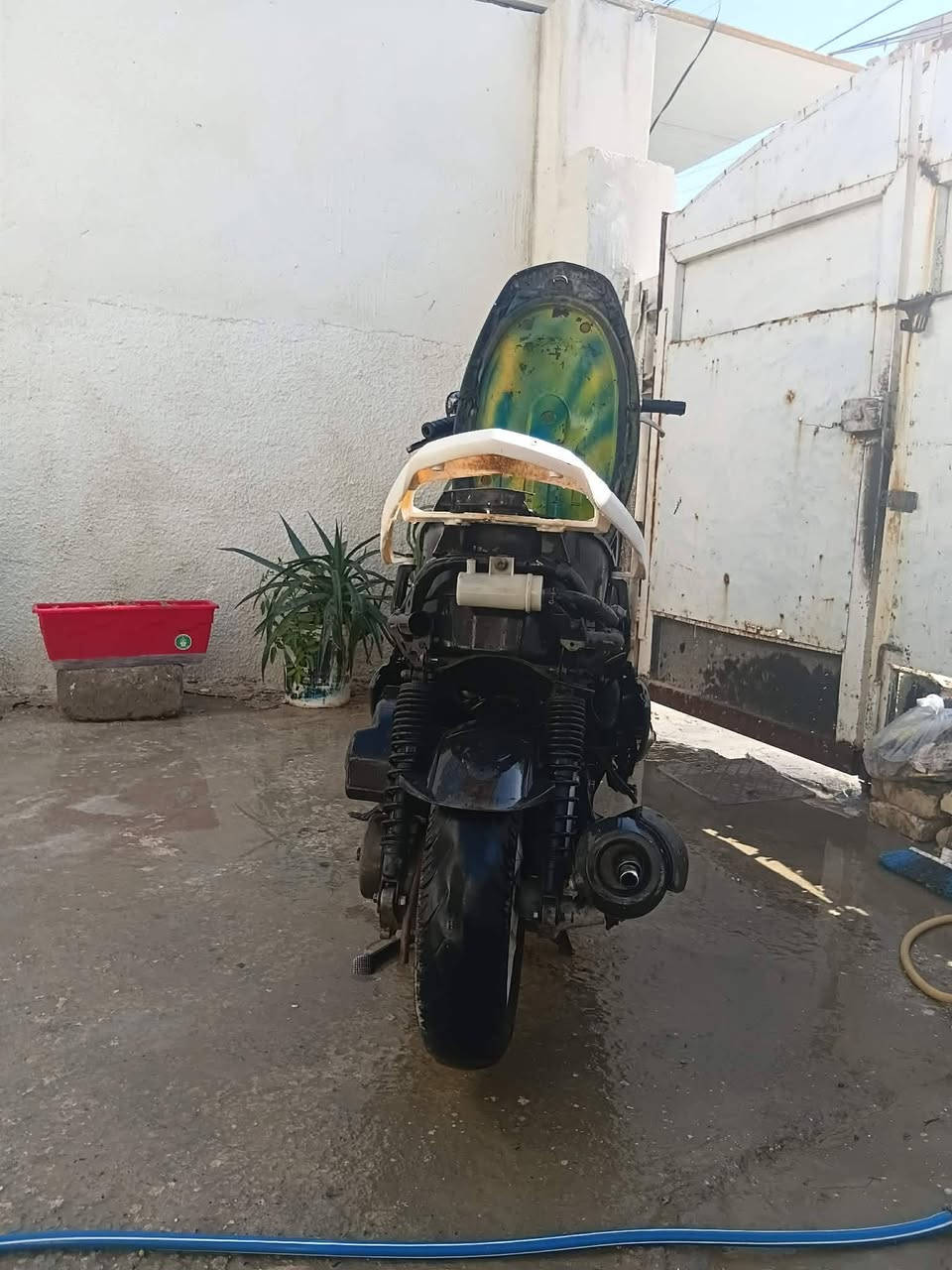 للبيع سكنس نثية كوم حديد المكان بغداد


**إذا كنت صاحب هذا الإعلان وتريد حذفه لأي سبب، رجاءا أرسل رسالة إلى الدعم الفني**