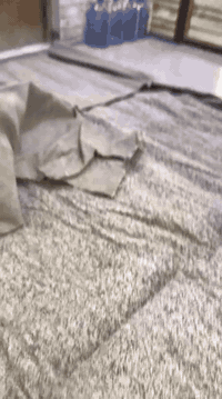 متواجد واتساب
للبيع
كلمن وسعره واتساب موجود***********
