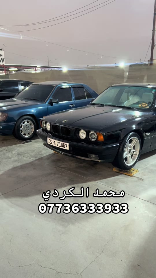 #bmw #dog #شعب_الصيني_ماله_حل😂😂 
