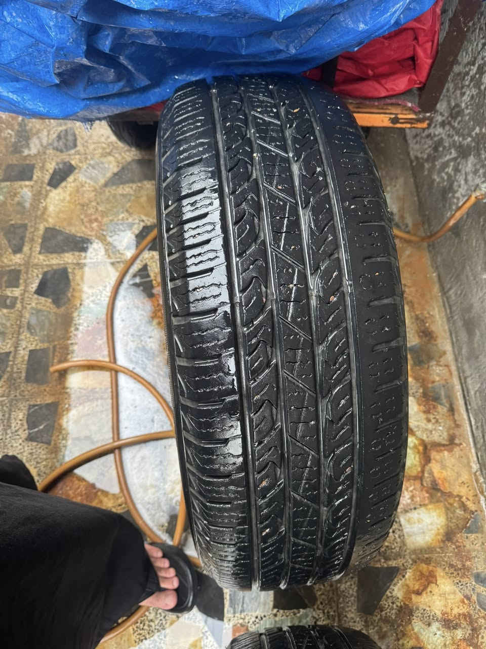 السلام عليكم عندي تخم مستخدم نضافه فوك 50 لا فتيله ولا شي كوري اصلي اخذتهن مليون وربع 
رايدهن 300 
***********
