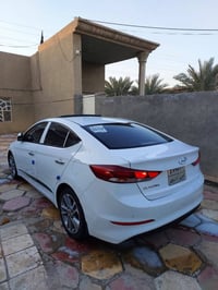 النترا سوبر • ٢٠١٩ • رقم اربيل