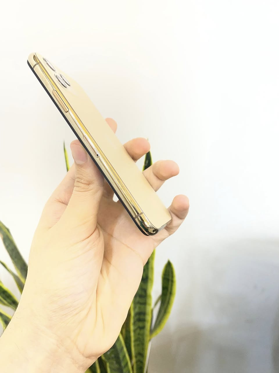 أيفون 11 برو نظيف بدون شخوط 
شرق اوسط 
النموذج M
البطارية 83 بلادية
الذاكره 64 
فيس ايدي شغال ( بصمة وجه ) 
مستبدل شاشة اصلية فقط 
مابي اي خلل كامرات صوت نت اتصال كلشي شغال 
السعر  245 وبي مجال 
عنواني بغداد حي اور ***********
