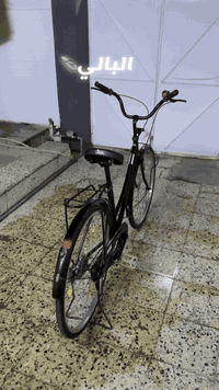 باسكل • ٨٥بي • خاص