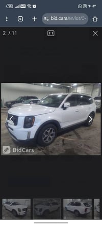 تيلورايد • ٢٠٢٠ • بدون صبغ