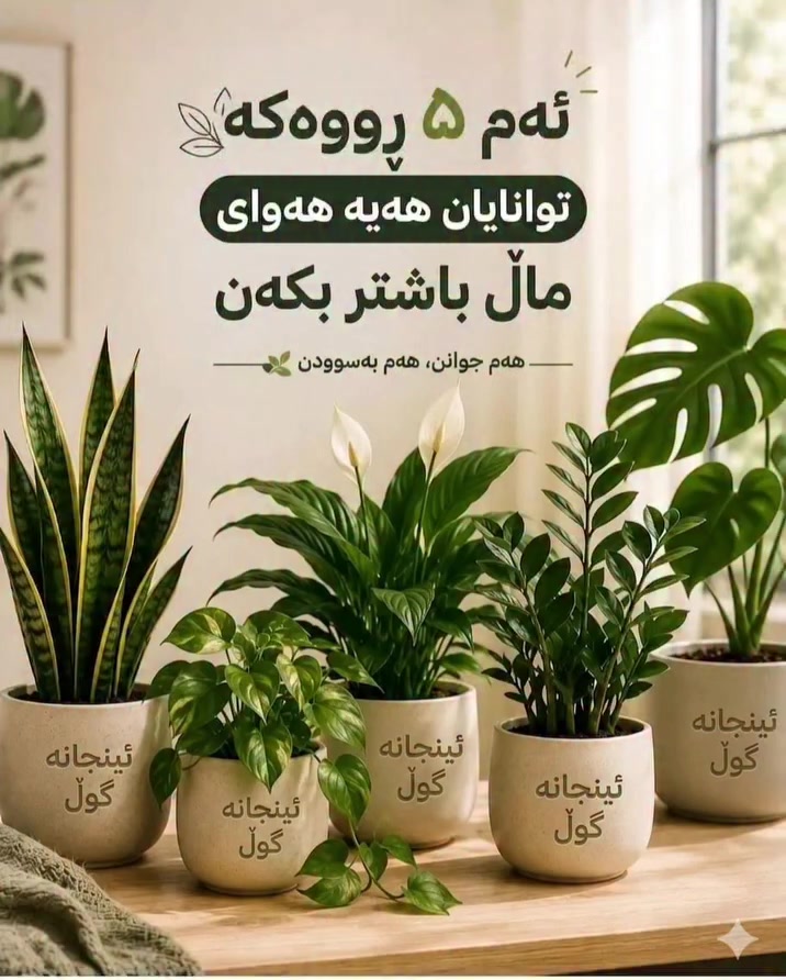 پێنج رووەک ھەوای ماڵەکەت پاکدەکەنەوە


**إذا كنت صاحب هذا الإعلان وتريد حذفه لأي سبب، رجاءا أرسل رسالة إلى الدعم الفني**