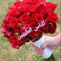 الي يريد شغل يدخل خاص هاي فرصه متتعوض لان مناخذ اي مقدمه  والشغل فوري ...