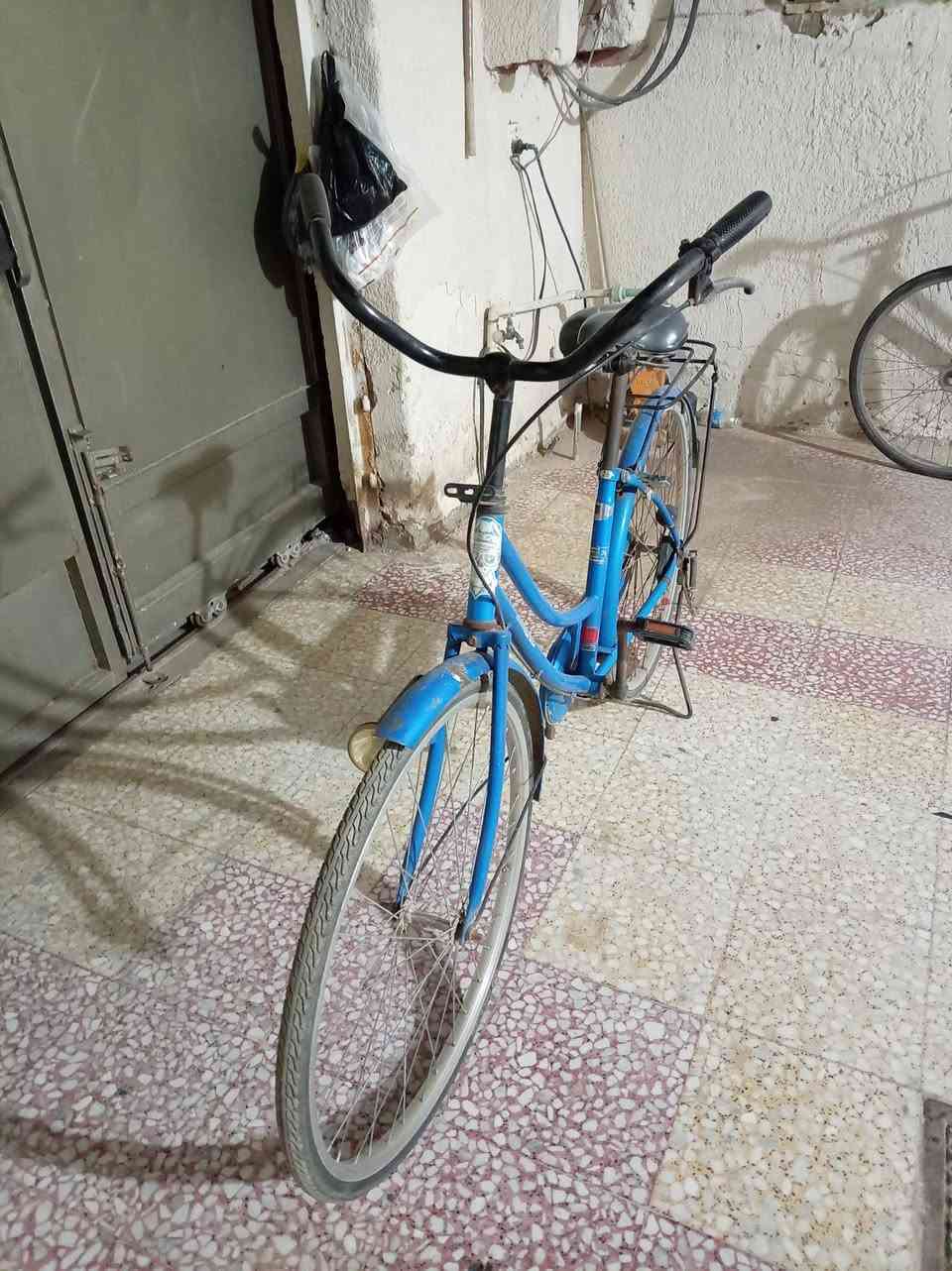 سلام عليكم باسكل للبيع كلشي ما ناقصة الشراي بخدمتة ب٦٠ وبي مجال قليل متواجد خاص و***********

