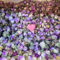 ورد • الجمبطي المحمدي • كركوك