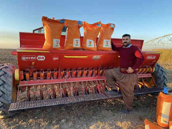 السلام عليكم حنطه باجران الماني بنت الچيس 
الكمية خمسه طن السعر 900 وبيها مجال للتواصل ***********
