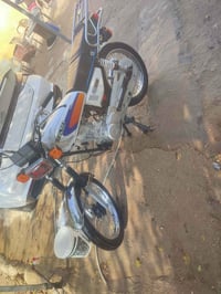 شاصي ١٥ • تعميره ٢٣ • اوراق اصولي