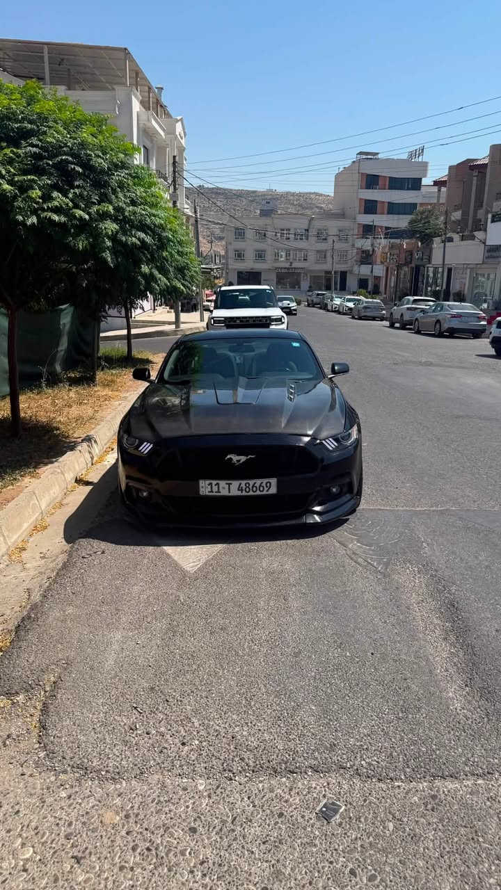 السلام عليكم
للبيع او مراوس 
موستنك v 6 2016 

لون اسود 

ويل 20 تو سايز  bbs

ماشيه 60.000 mi

مواصفات السته المعروفه 

عليها برمجة طلال 

وعليها داون بايب واكس بايب ودبات بلاديه 

البنيد كاربون فايبر اصل الياف حقيقي 

حادثها من امريكا رصعه بل جاملغ الخلفي ورصعه بل جاملخ الامامي وهنا بل عراق انظربت جاملغ الايمن الامامي السياره بيها 4 قطع وية البنيد  شواصي كير مكينه مكفوله عندي جسر الغد الايمن بي تصليح شوية يعني الغد مكفول الجهتين بس الجسر الفوك 

طاك بيها 3 ايرباكات 

صدرها 90‎%‎

السياره نظيفه وحلوه ومداخله استعراض ابد 
رقم بغداد تحويل ثاني يوم *

سعرها 135 وبيها مجال بسيط 

مكانها  شهداء السيديه 

رقم تلفون ☎️ ***********
