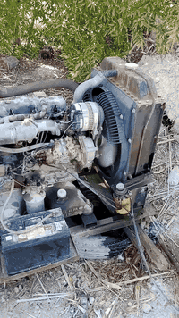 للبيع ازوزه رقم الهاتف ***********
