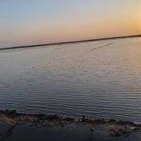 ارض زراعيه للبيع مساحه 40دونم مكان الكاع واسط الحسينيه ماي سيح ومطربسه...