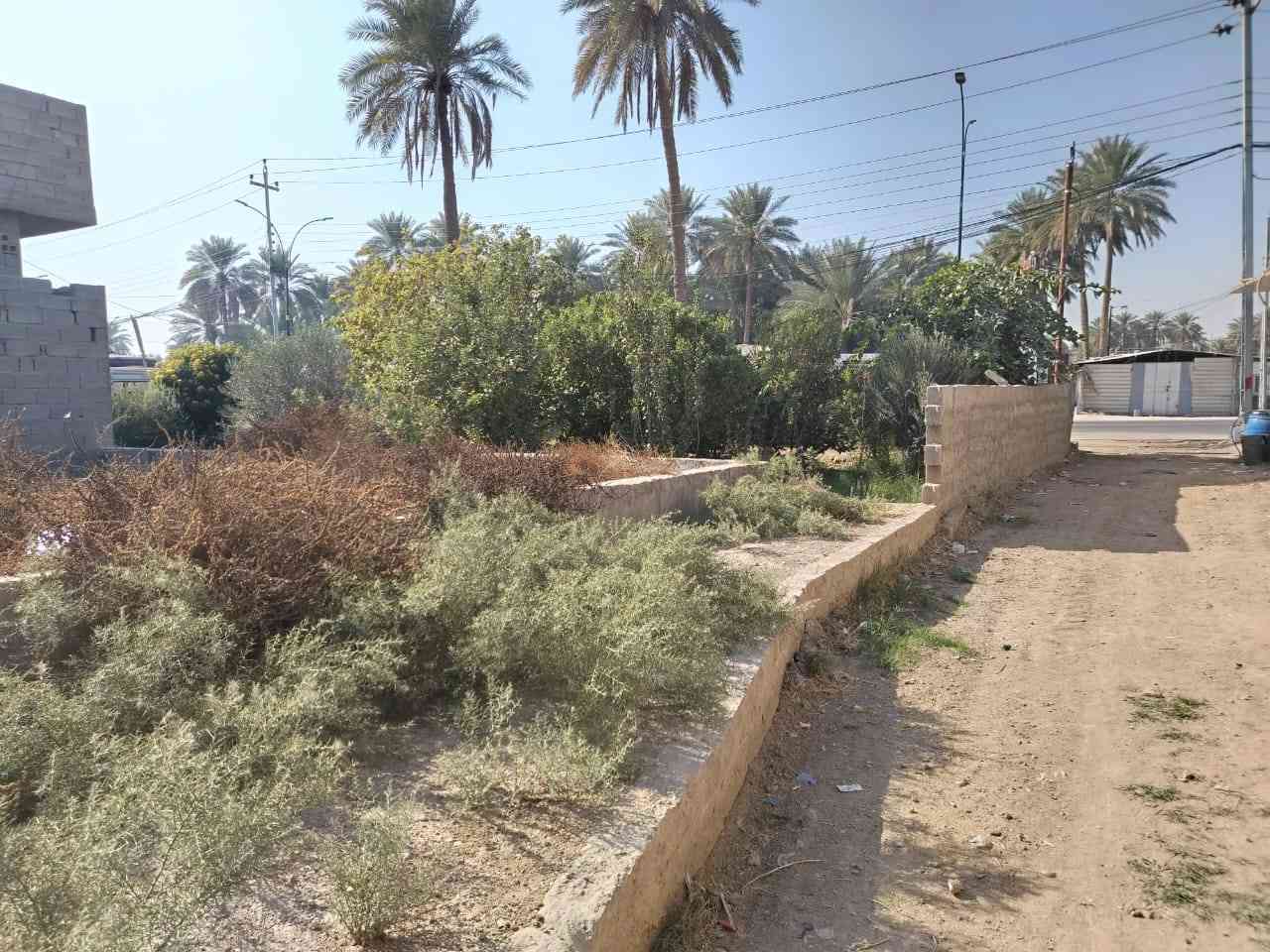 قطعة مساحة 1100 متر مع دار سكن مساحة 175متر  مع باتلو بنفس خارطة البيت والمتبقي حديقة مثمرة متنوعة الأشجار مفوض بالطابو سند 25 في منطقة الإبراهيمية / بزل مطشر مباشرة على الشارع الرئيسي السايدين واجهة القطعة تجارية 26 متر مع كافة الخدمات. 
الاتصال ***********
           ***********
           *********** كربلاء, العراق
