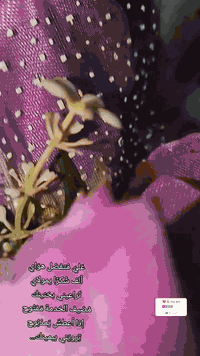 تميزي مع ورده للرسم  بقطعه صنعت خصيصا لك ❤️🤍

اطلب ولا تحتار ❤️

.رسم على مباخر و الاكواب وفرش الشعر حسب الطلب ❤️

ضمان الالوان متروح لا بغسل ولا حرارة ❤️..اسعار جدًااا مناسبة ♥️

 الالوان والنقشات حسب الطلب

متوفر توصيل  جميع المحافضات 5 الاف 

حساباتي ... 

انستقرام: worod_.3

تيك توك: ورده للرسم على الزجاج 

Worod_.3

واتساب/***********

 #رسم_على_الزجاج #رسم_على_الاكواب #مباخر #اكسبلور_فولو               

#اصحاب_المشاريع_الصغيرة #اللهم_ارزقنا_الحلال_يارب #احبكم_يا_احلى_متابعين #اكسبلورexplore #ترند_الخليج #مالي_خلق_احط_هاشتاقات #تصويري #تصميم_فيديوهات🎶🎤🎬 #ترند #ترند_تيك_توك #لايك__explore___ #الشعب_الصيني_ماله_حل😂😂 #capcut #قالب_كاب_كات
