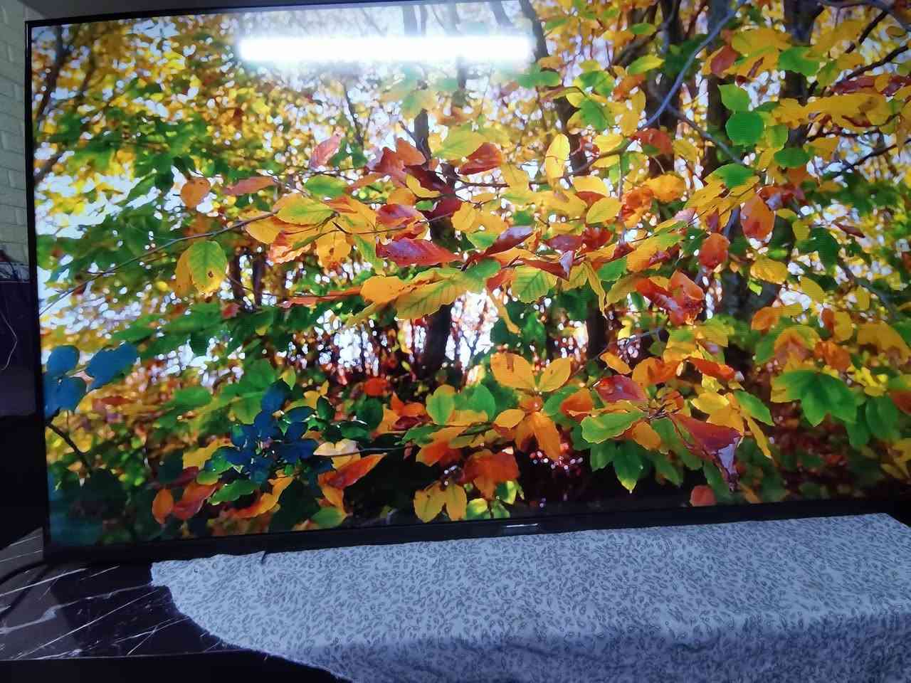 سلام عليكم اخواني عندي شاشه نوع سامسونك سمارت الحجم 50 بي مشكله رجفه بشاشه من جوه ابيعه علي وضعه السعر 75 الف العنوان البياع حي الرساله الأولى قرب مدينة العاب الكرخ تلفون ***********
WhatsApp +964***********
