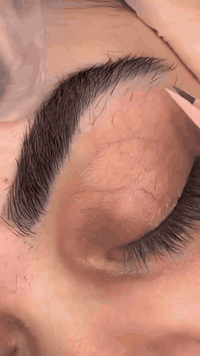 خدمات • بدون وصف • هاتف