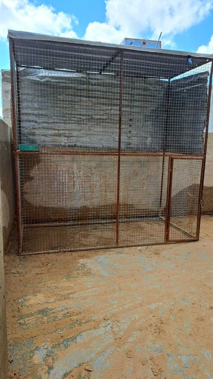 للبيع 
سعر 75 قفل
***********
